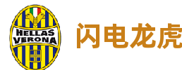 闪电龙虎(集团)电子科技有限公司官网