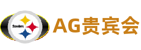 AG贵宾会·专享会(中国区)官方网站