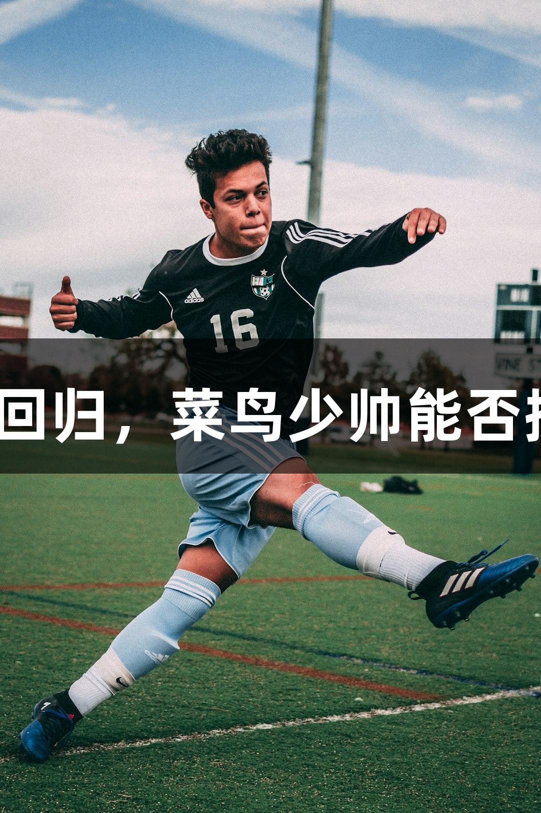 CBA豪门强队回归，菜鸟少帅能否搅动争冠格局？