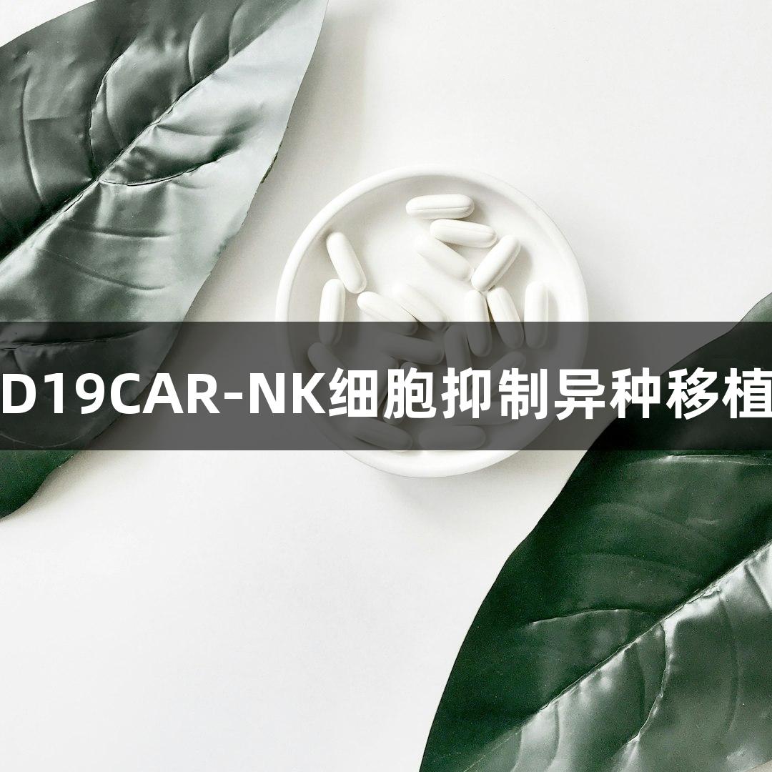 尊龙凯时：低免疫原性CD19CAR-NK细胞抑制异种移植中人类B细胞肿瘤的进展