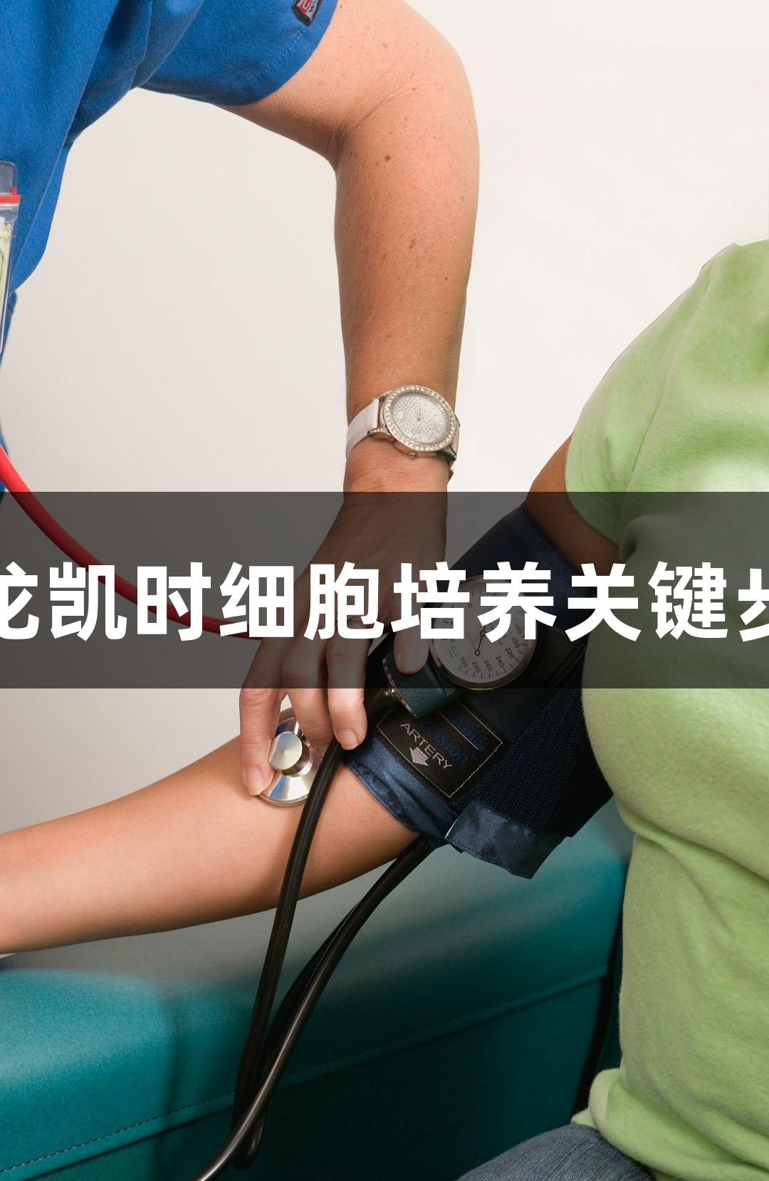 尊龙凯时细胞培养关键步骤