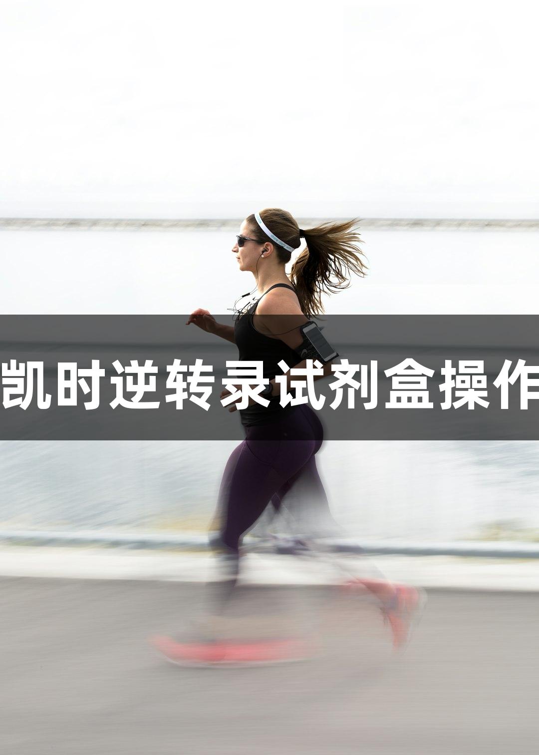 尊龙凯时逆转录试剂盒操作指南