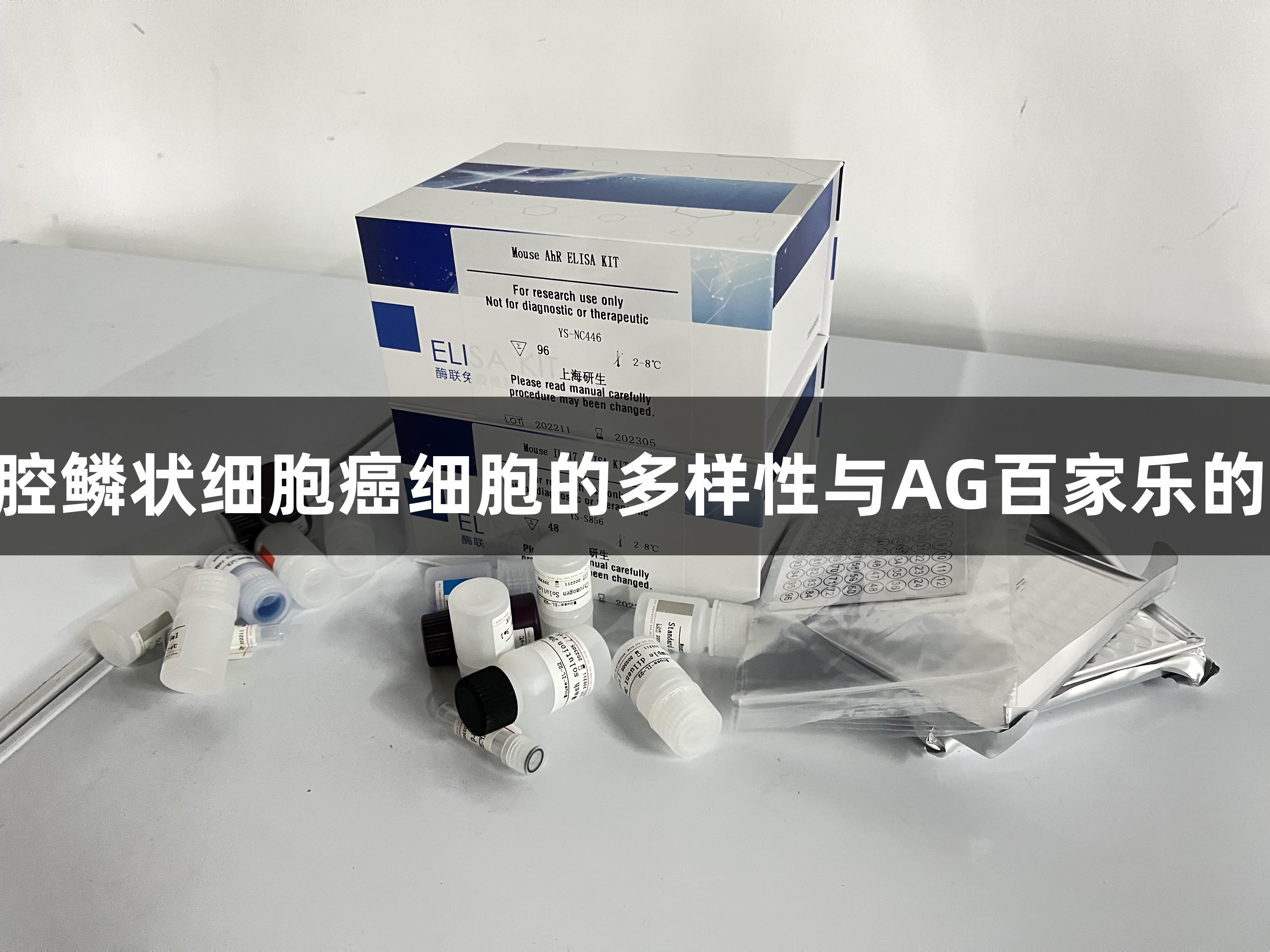 HN13口腔鳞状细胞癌细胞的多样性与AG百家乐的应对策略