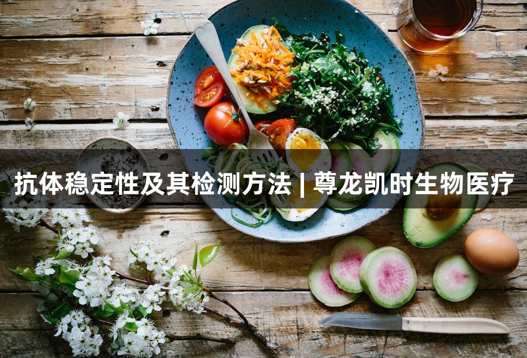 抗体稳定性及其检测方法 | 尊龙凯时生物医疗