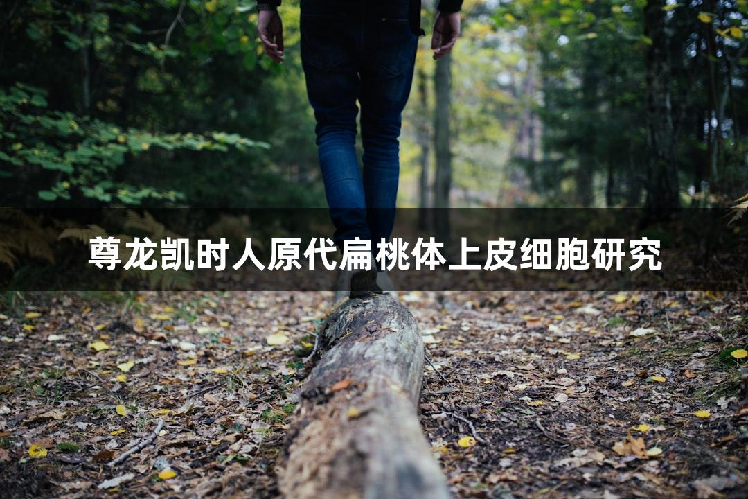 尊龙凯时人原代扁桃体上皮细胞研究