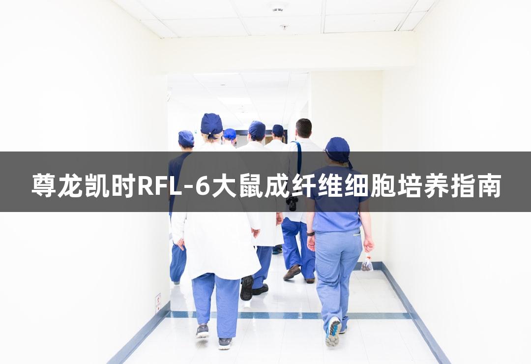尊龙凯时RFL-6大鼠成纤维细胞培养指南