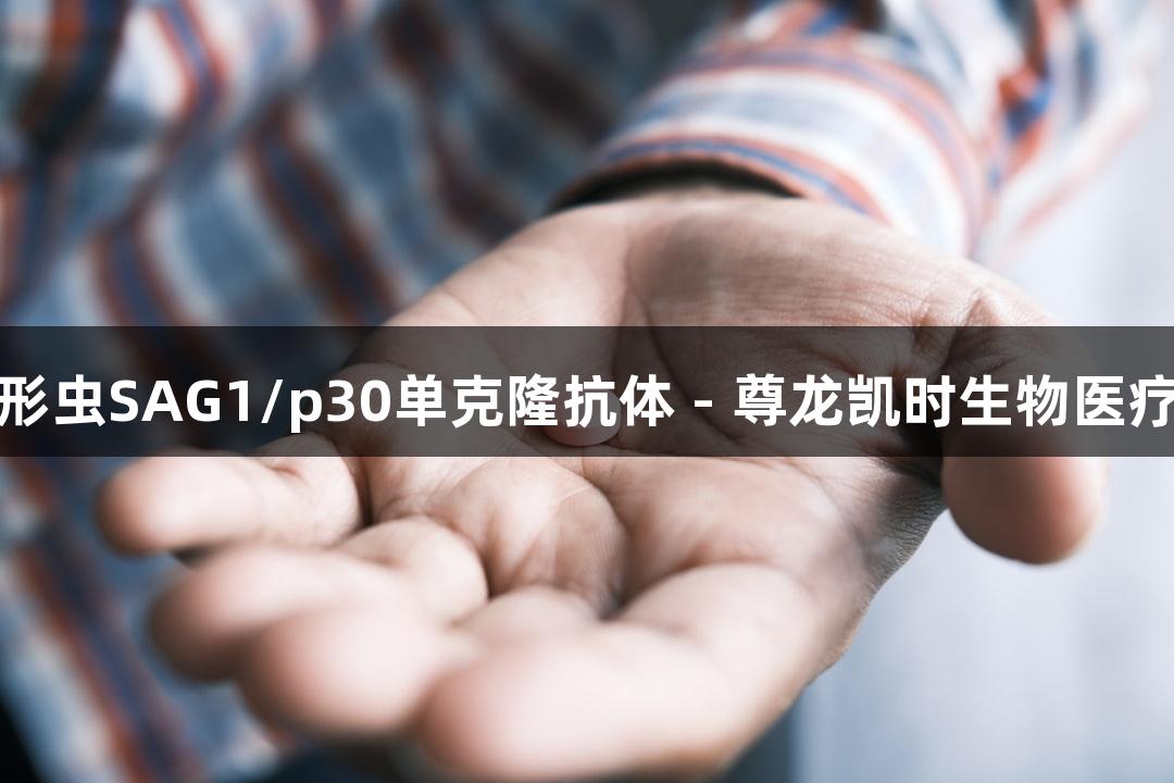 抗刚地弓形虫SAG1/p30单克隆抗体 - 尊龙凯时生物医疗解决方案