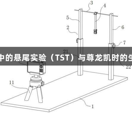 动物行为学中的悬尾实验（TST）与尊龙凯时的生物医疗探索