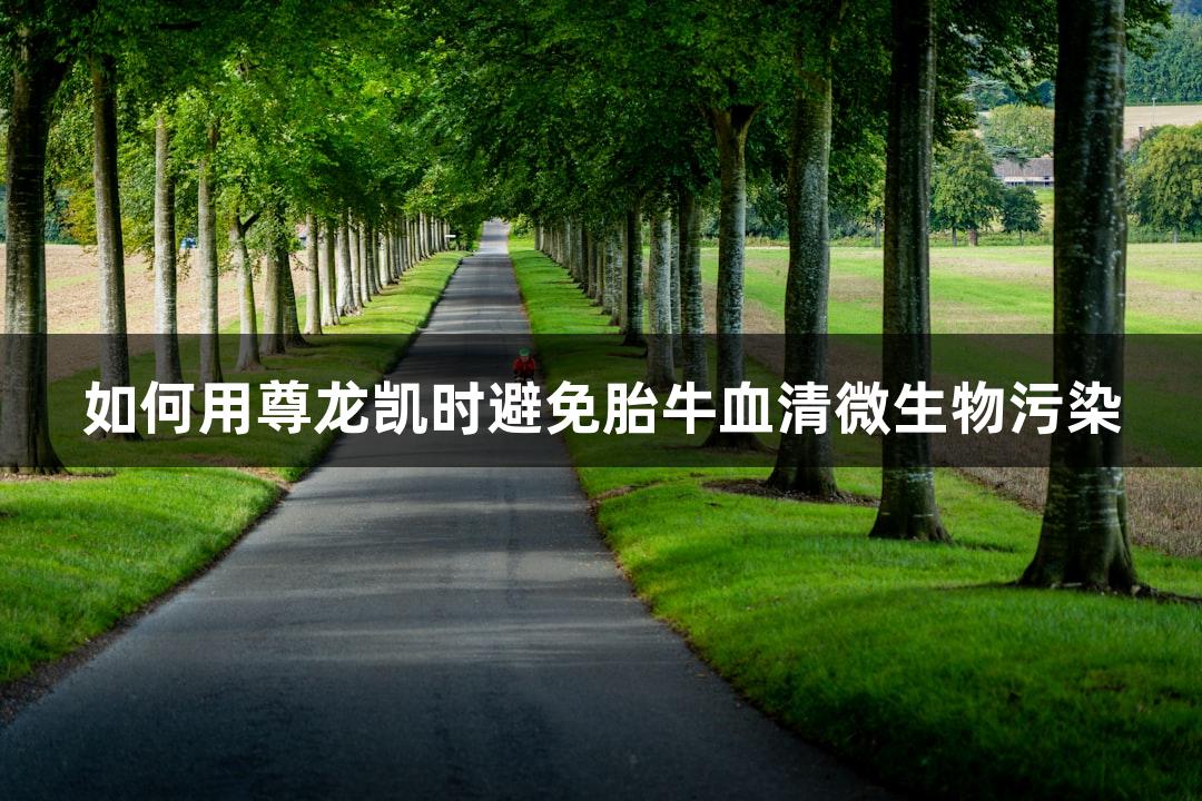 如何用尊龙凯时避免胎牛血清微生物污染