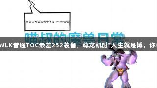 魔兽世界WLK普通TOC最差252装备，尊龙凯时*人生就是博，你看中哪个？