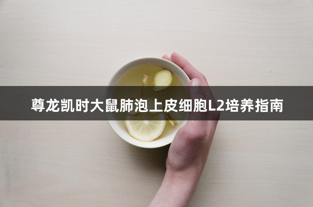 尊龙凯时大鼠肺泡上皮细胞L2培养指南