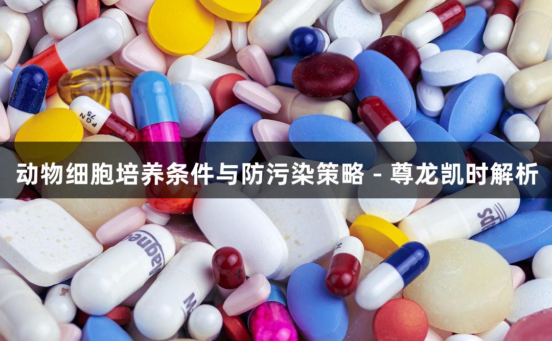 动物细胞培养条件与防污染策略 - 尊龙凯时解析