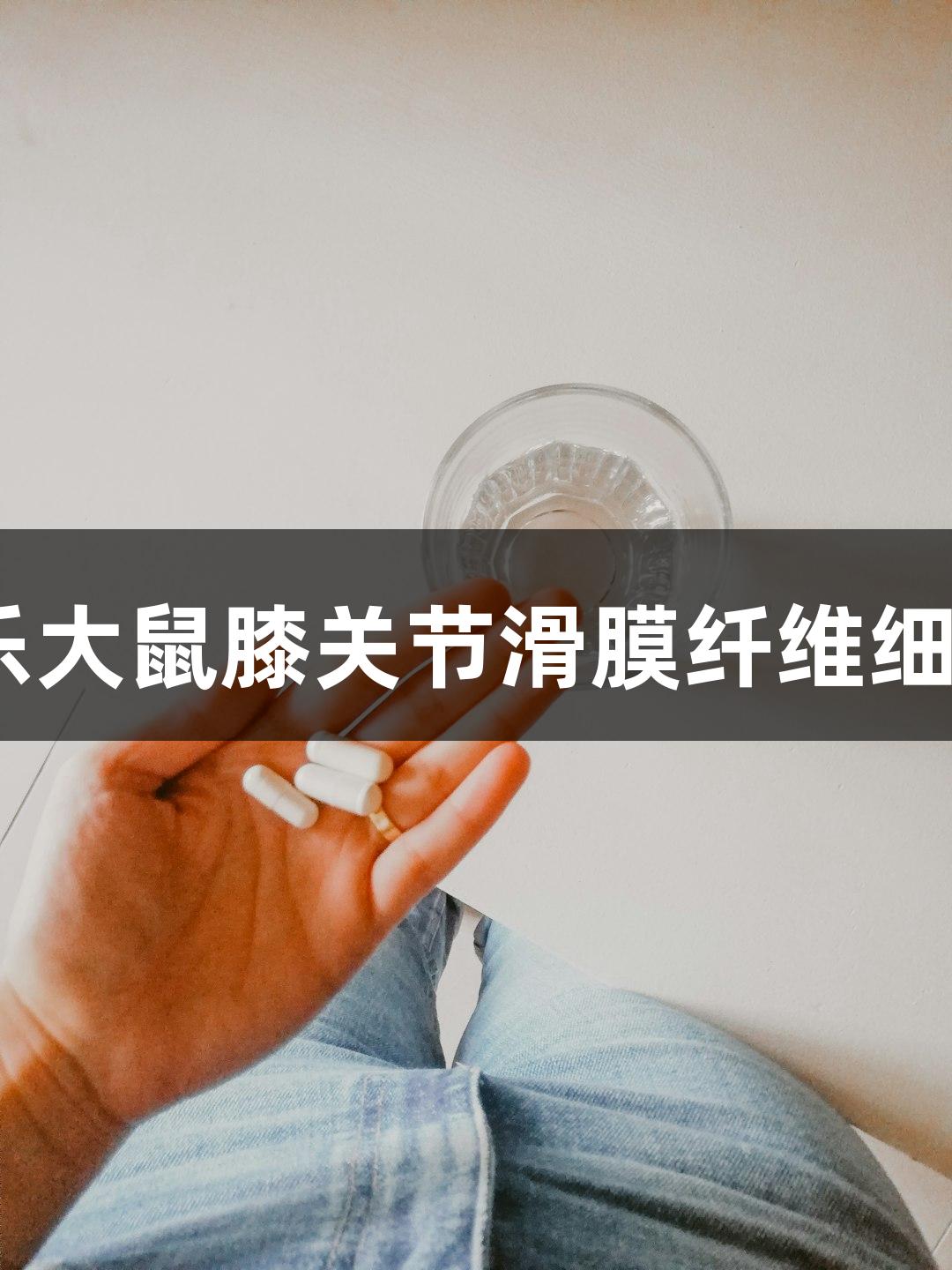 AG百家乐大鼠膝关节滑膜纤维细胞培养基