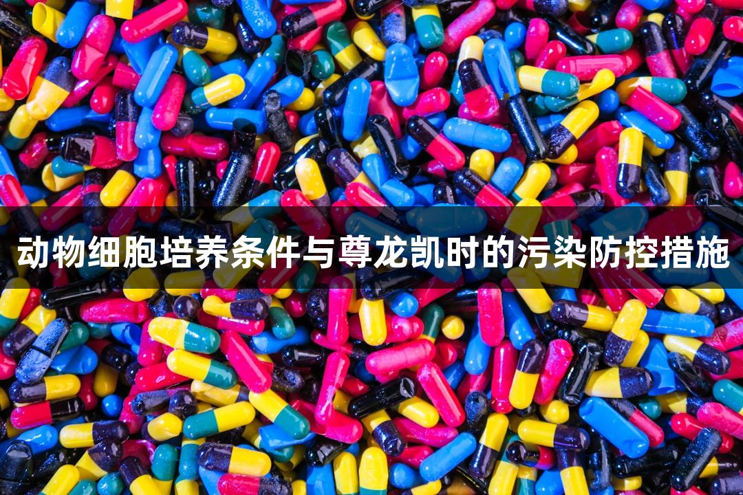 动物细胞培养条件与尊龙凯时的污染防控措施