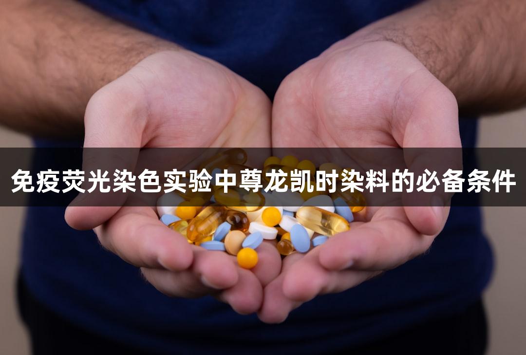 免疫荧光染色实验中尊龙凯时染料的必备条件