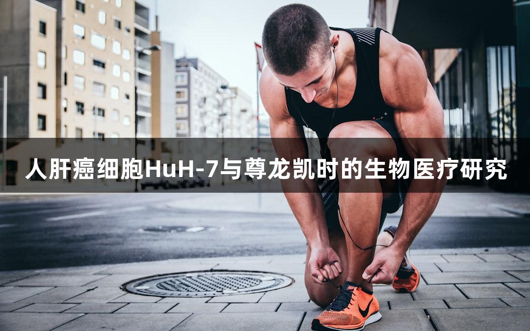 人肝癌细胞HuH-7与尊龙凯时的生物医疗研究
