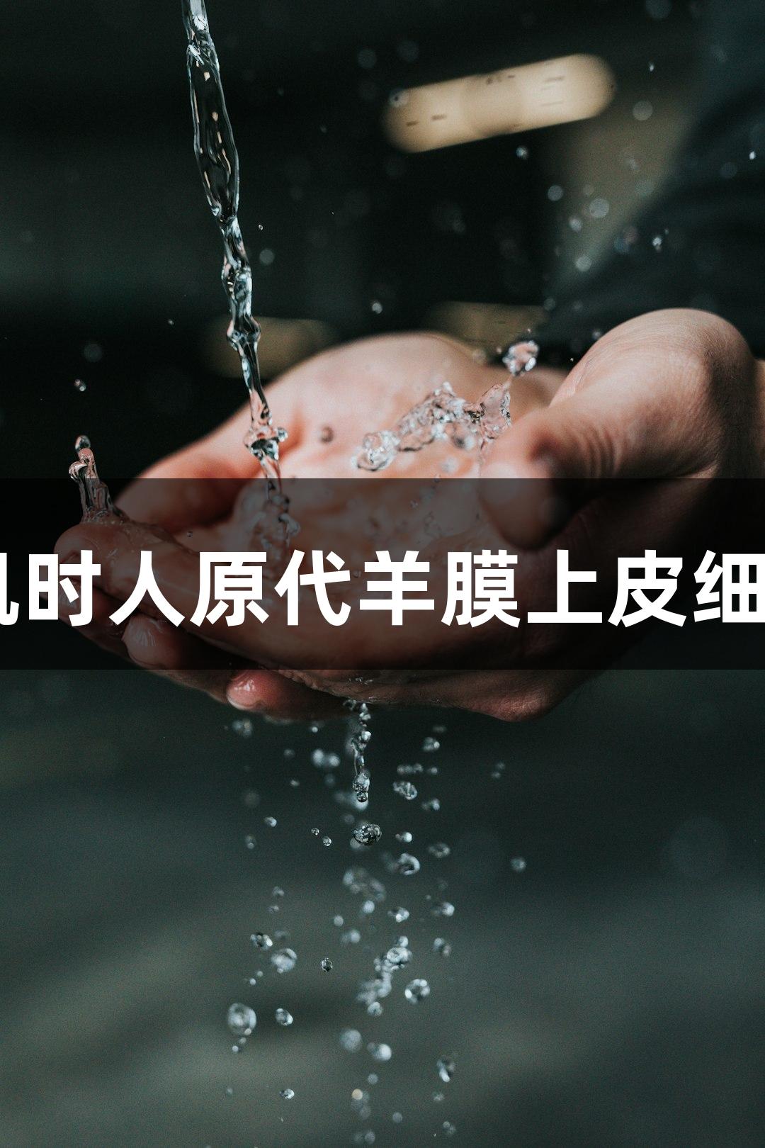 ag尊龙凯时人原代羊膜上皮细胞培养基