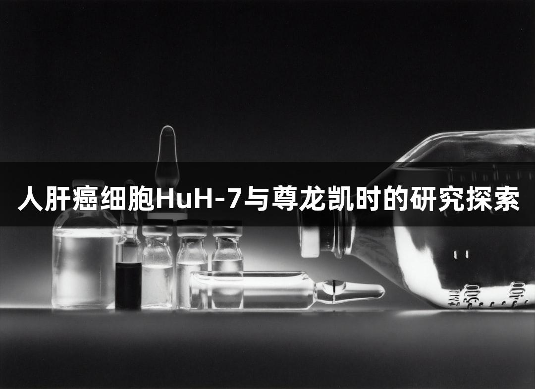人肝癌细胞HuH-7与尊龙凯时的研究探索