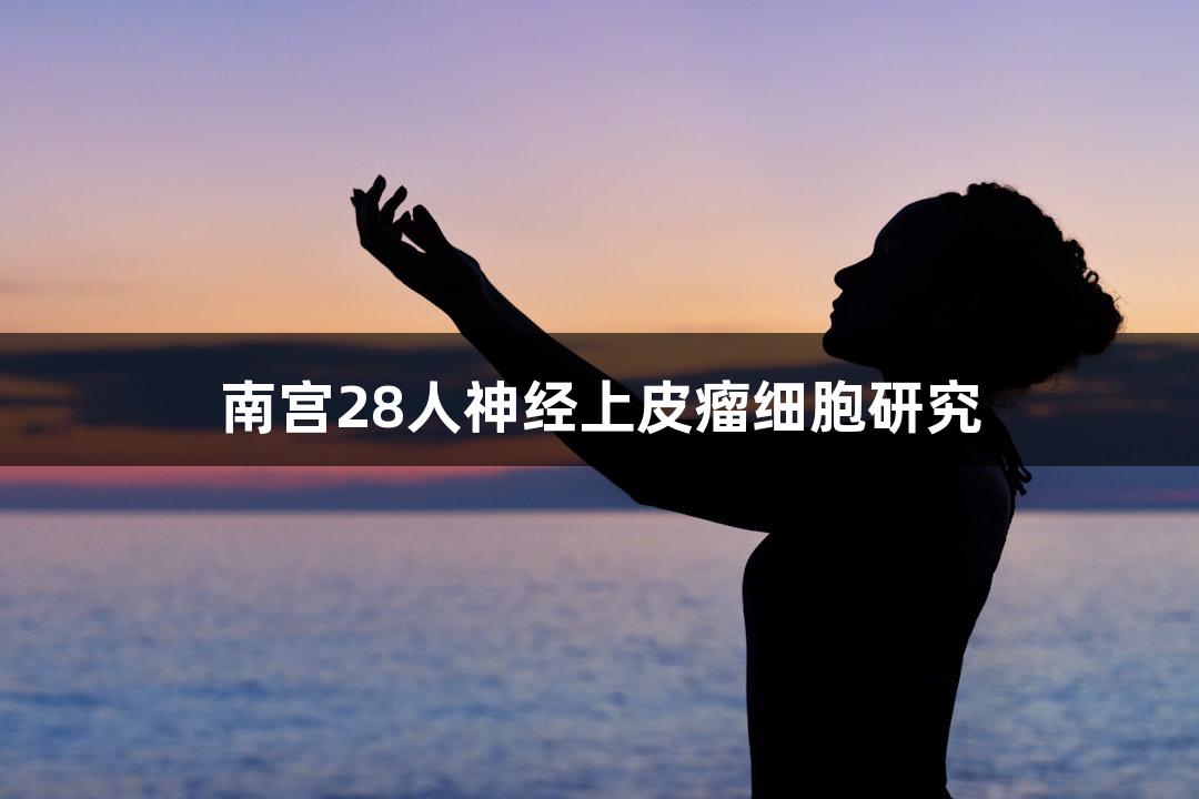 南宫28人神经上皮瘤细胞研究