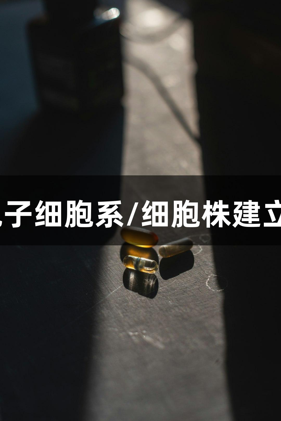 PG电子细胞系/细胞株建立概述