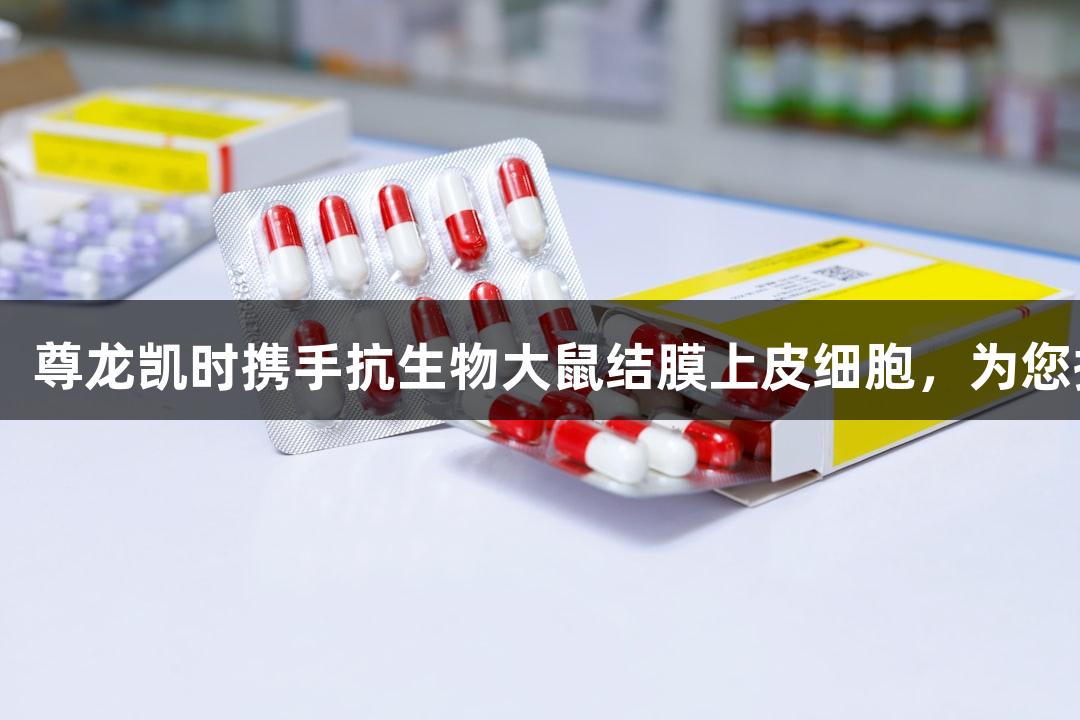 新学期新梦想，尊龙凯时携手抗生物大鼠结膜上皮细胞，为您提供95折优惠！