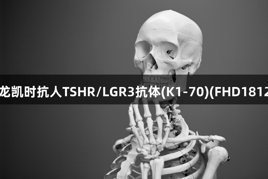 尊龙凯时抗人TSHR/LGR3抗体(K1-70)(FHD18120)