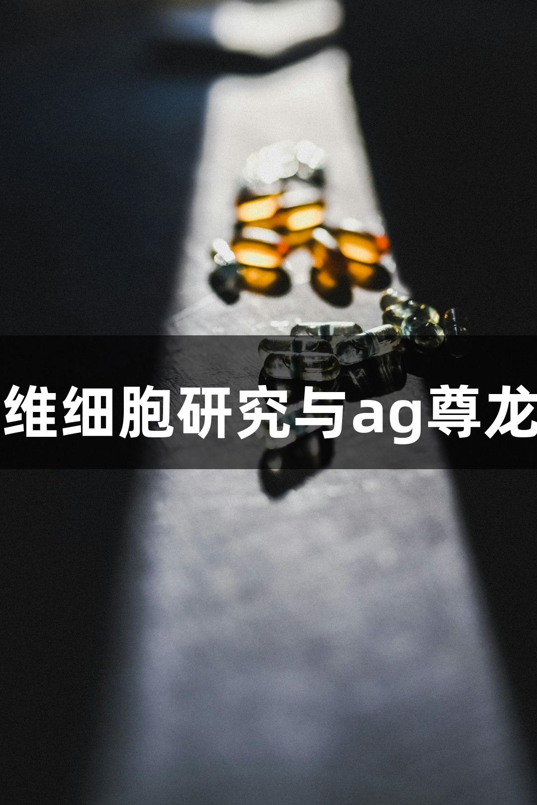 人类附睾成纤维细胞研究与ag尊龙凯时品牌探索