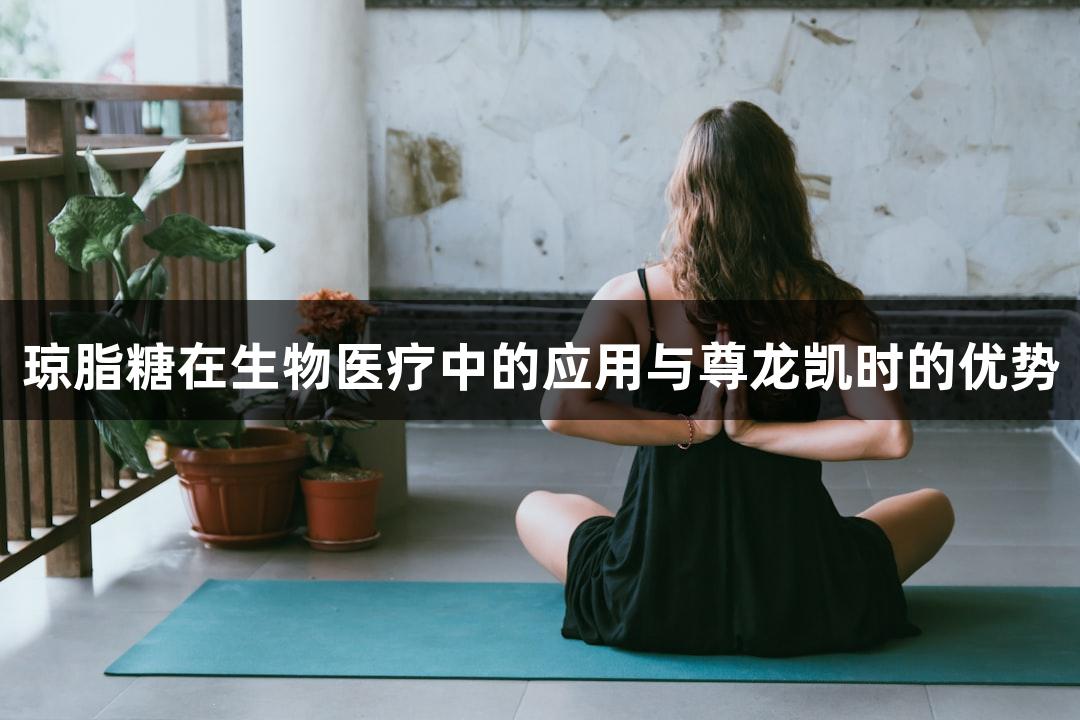 琼脂糖在生物医疗中的应用与尊龙凯时的优势