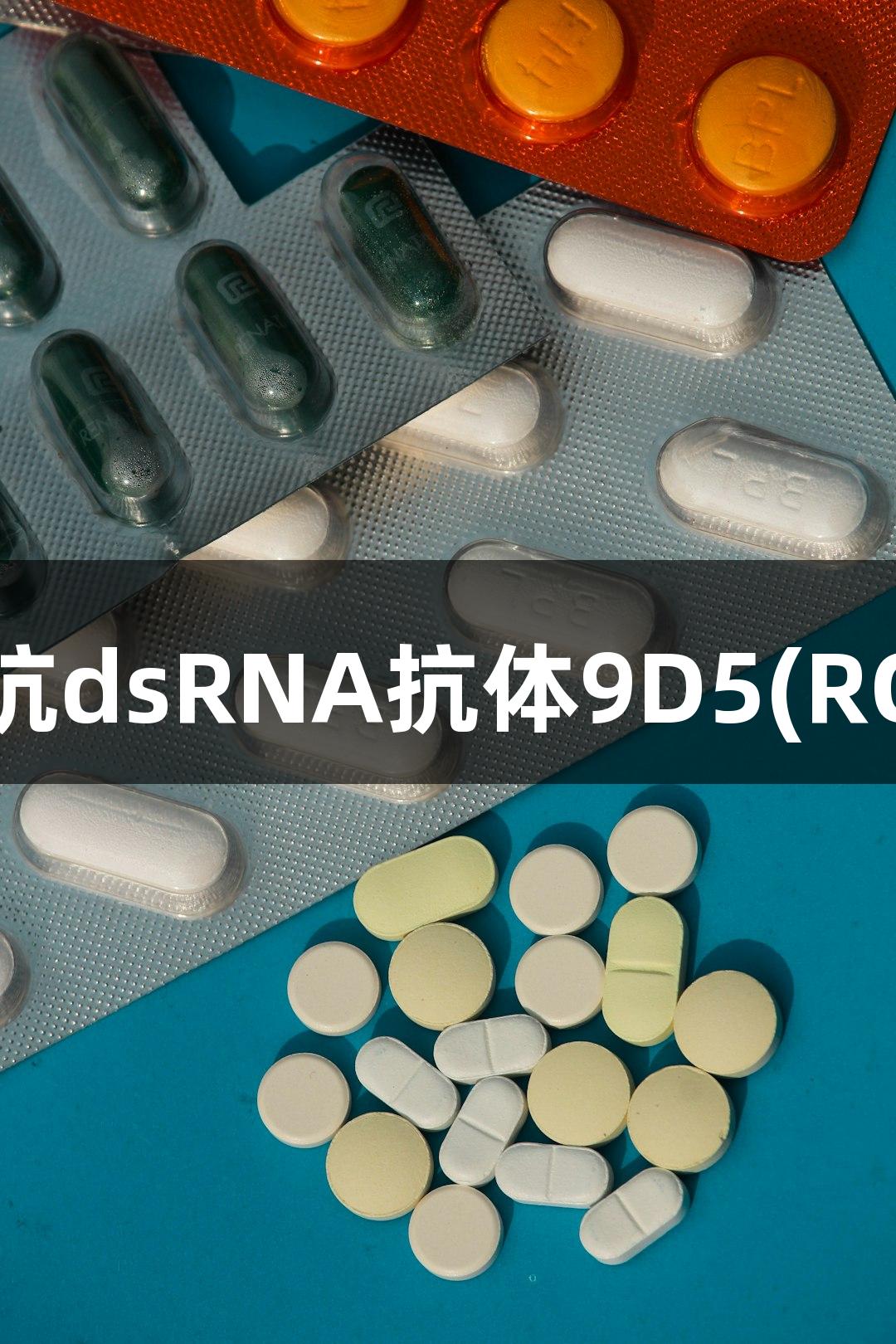尊龙凯时抗dsRNA抗体9D5(RGK24903)