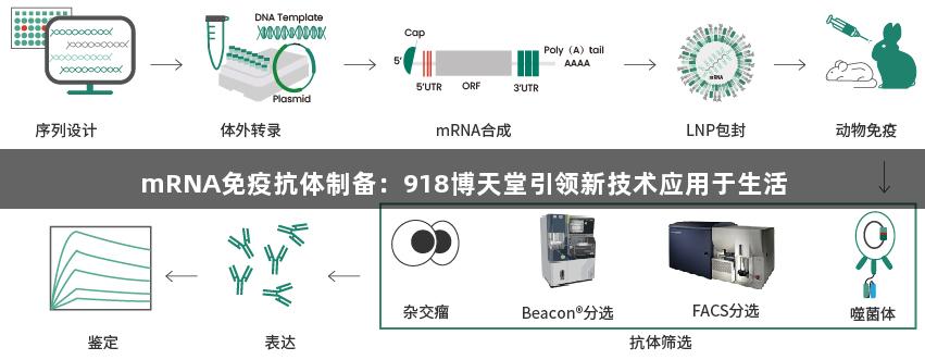 mRNA免疫抗体制备：918博天堂引领新技术应用于生活