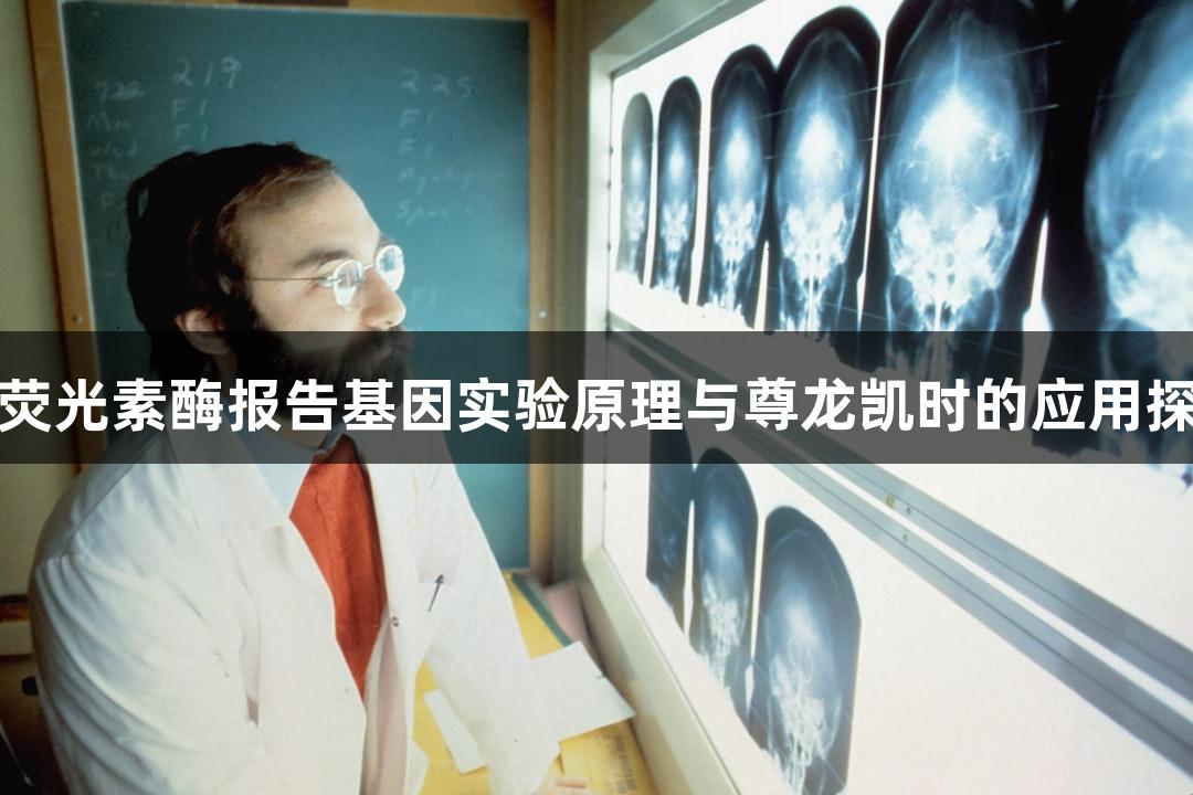 双荧光素酶报告基因实验原理与尊龙凯时的应用探讨