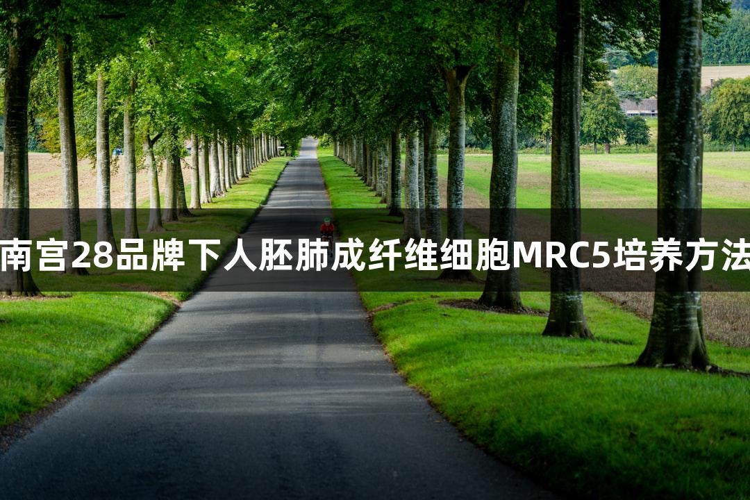 南宫28品牌下人胚肺成纤维细胞MRC5培养方法