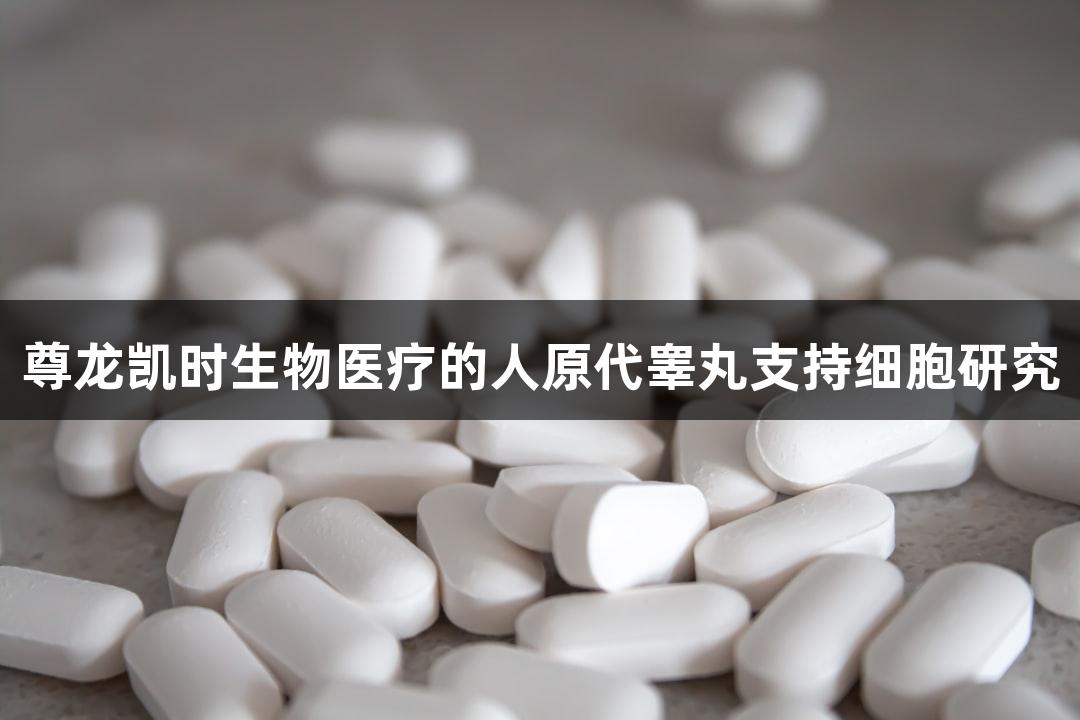 尊龙凯时生物医疗的人原代睾丸支持细胞研究