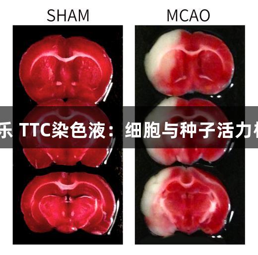 AG百家乐 TTC染色液：细胞与种子活力检测利器