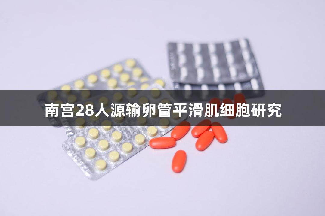 南宫28人源输卵管平滑肌细胞研究