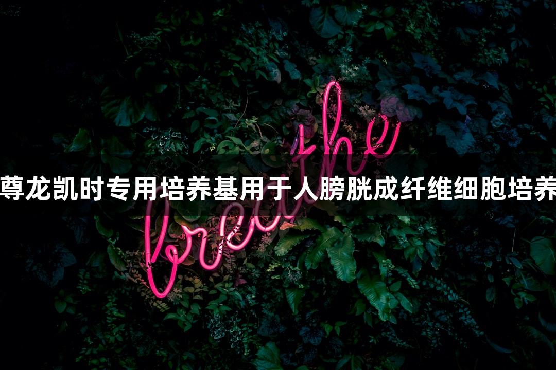尊龙凯时专用培养基用于人膀胱成纤维细胞培养
