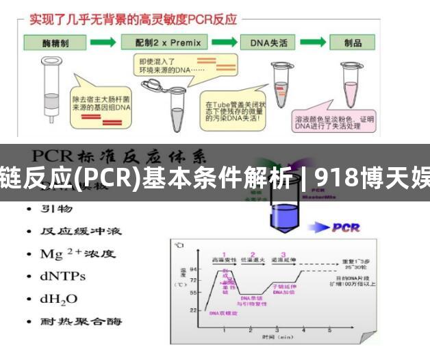聚合酶链反应(PCR)基本条件解析 | 918博天娱乐官网