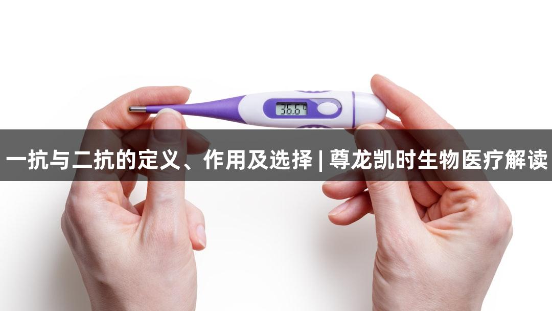 一抗与二抗的定义、作用及选择 | 尊龙凯时生物医疗解读