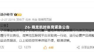 Z6·尊龙凯时体育紧急公告