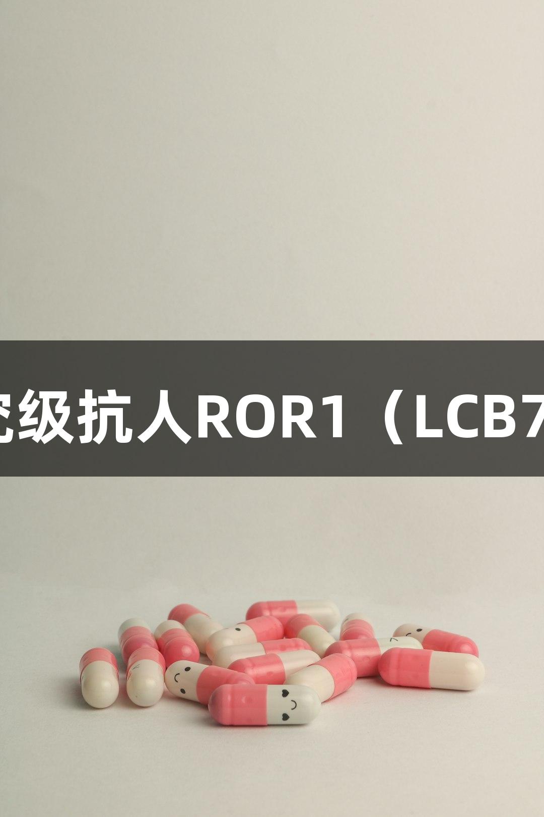 尊龙凯时研究级抗人ROR1（LCB71）蛋白抗体