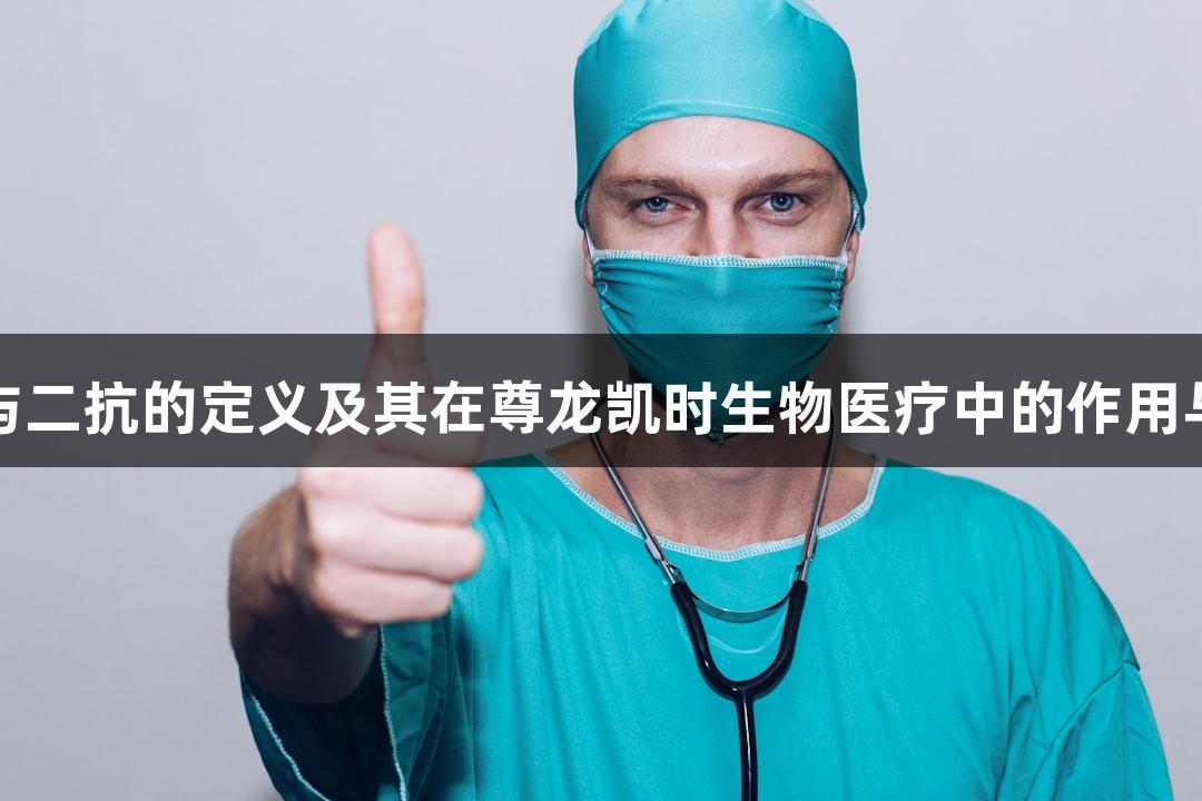 一抗与二抗的定义及其在尊龙凯时生物医疗中的作用与选择