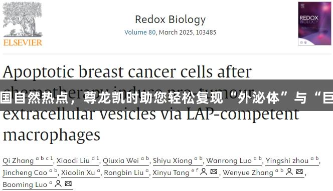 必学的10+策略! 紧抓国自然热点，尊龙凯时助您轻松复现“外泌体”与“巨噬细胞”的流量巨头!