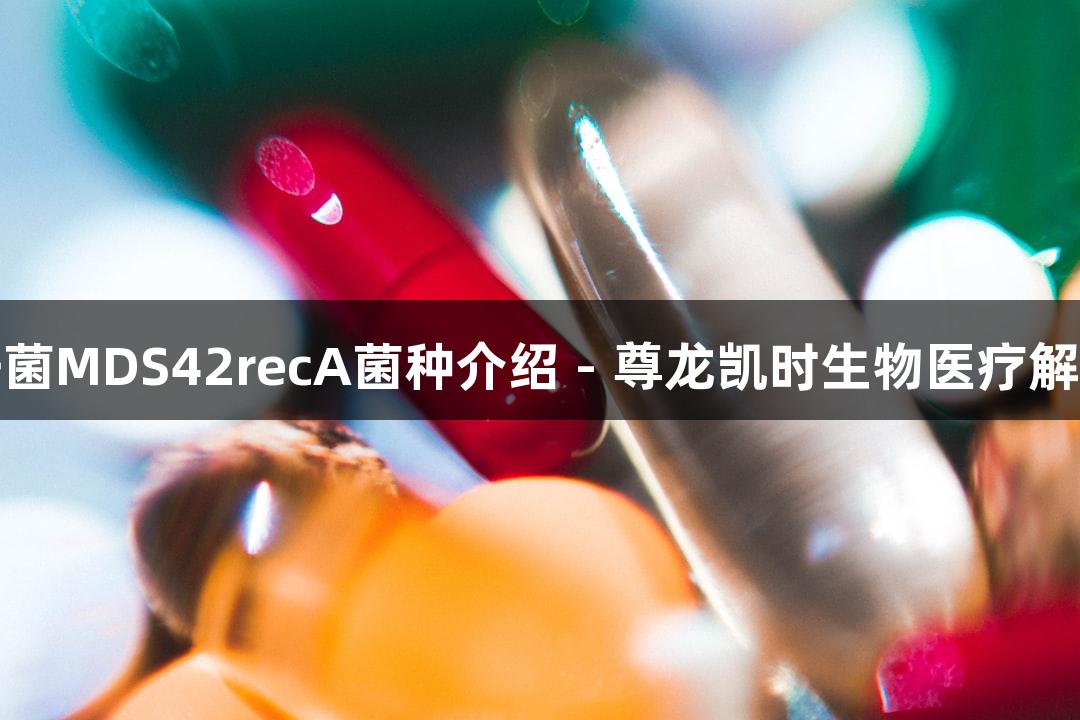 大肠杆菌MDS42recA菌种介绍 - 尊龙凯时生物医疗解决方案