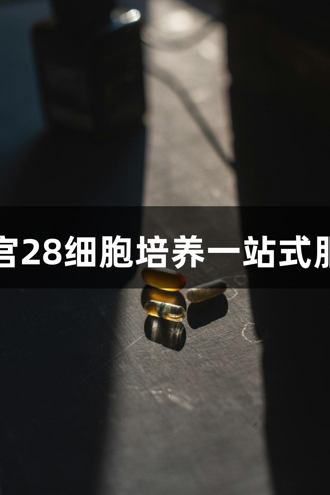 南宫28细胞培养一站式服务