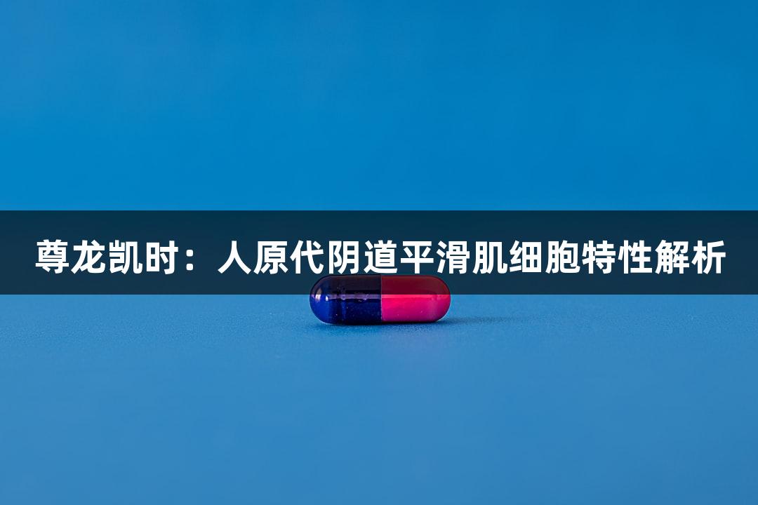 尊龙凯时：人原代阴道平滑肌细胞特性解析
