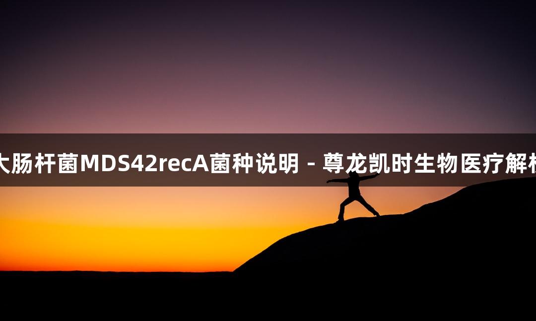 大肠杆菌MDS42recA菌种说明 - 尊龙凯时生物医疗解析