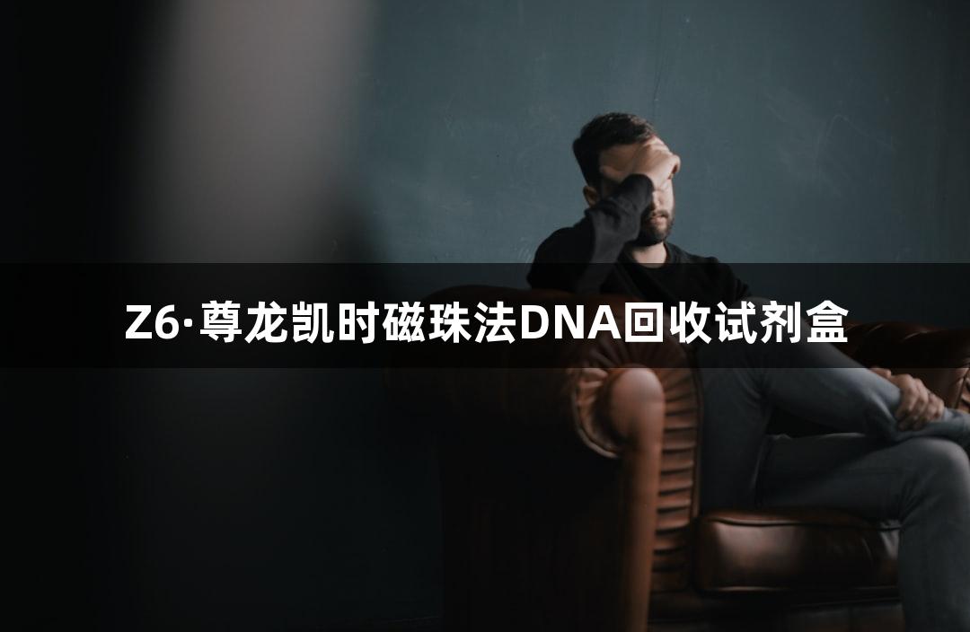 Z6·尊龙凯时磁珠法DNA回收试剂盒