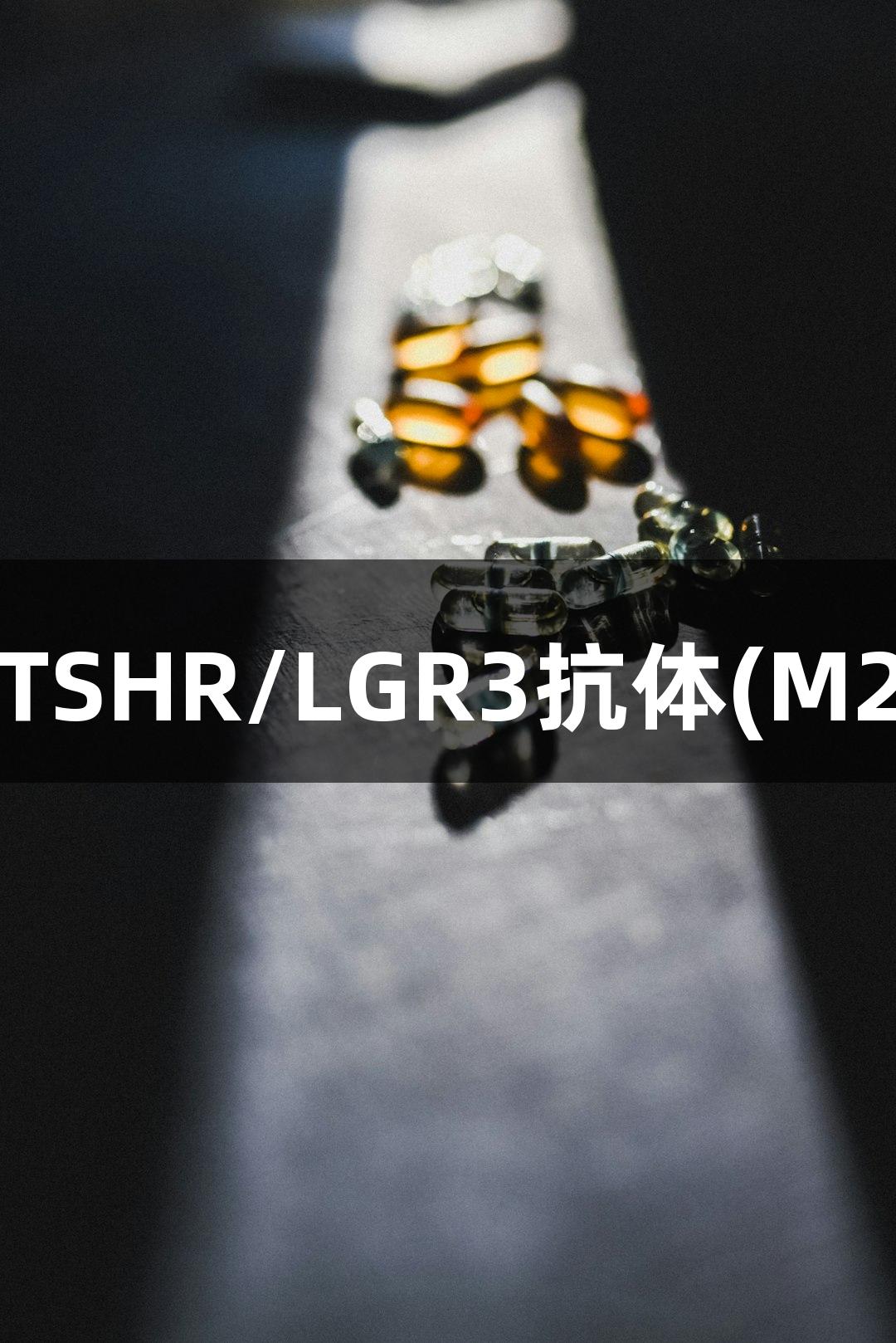918博天堂抗人TSHR/LGR3抗体(M22)(FHD18110)