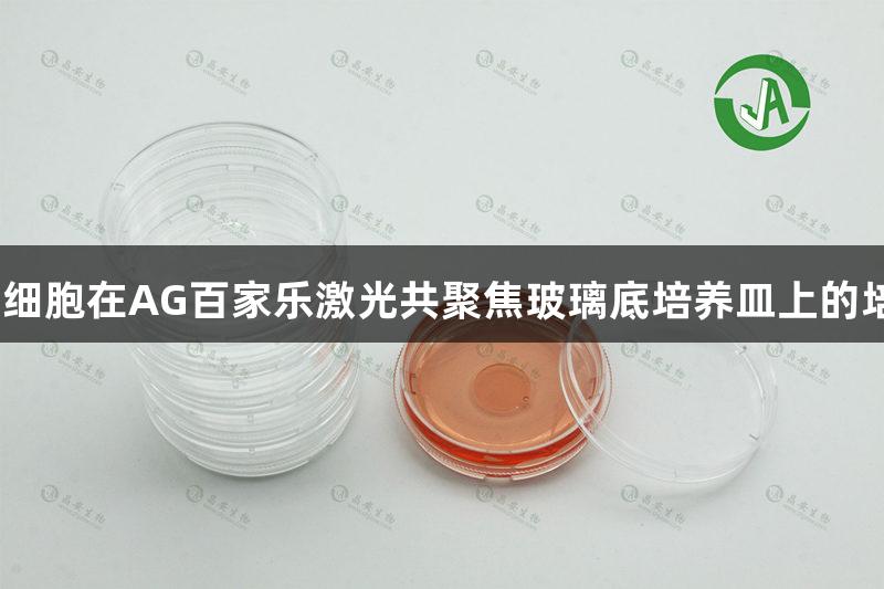 如何提升细胞在AG百家乐激光共聚焦玻璃底培养皿上的培养效果？