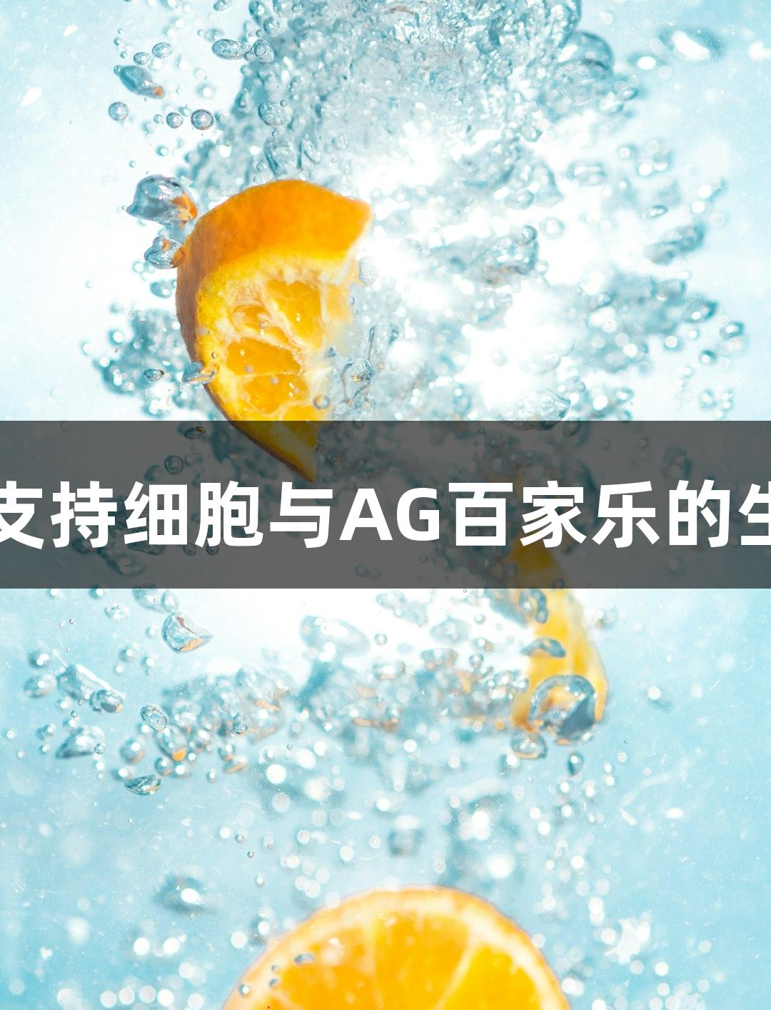 人原代睾丸支持细胞与AG百家乐的生物医疗应用